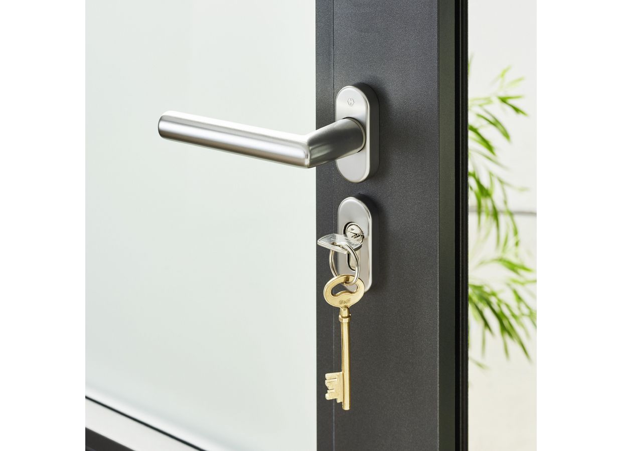 Porte d'entrée Aliséane Aluminium - Portes