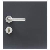 Porte d'entrée Anouk Aluminium sur-mesure - Lapeyre