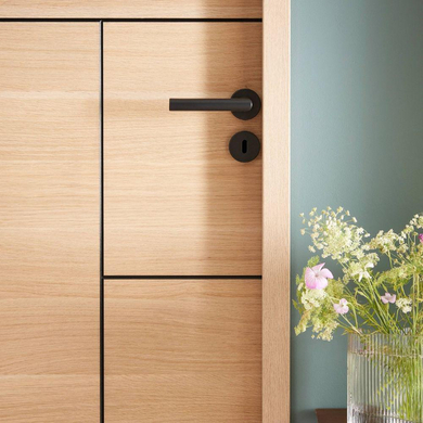 Poignée de porte d'intérieur